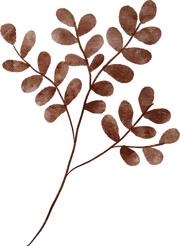 Brown Leaf